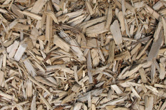 biomass boilers Trevenen