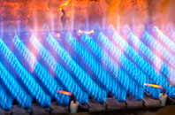 Trevenen gas fired boilers